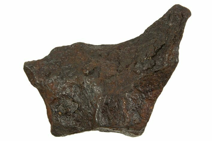 Canyon Diablo Iron Meteorite ( g) - Arizona #335961